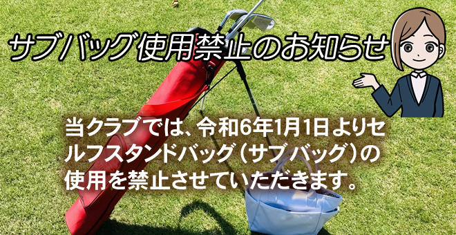 アルテミス　サマーパーティープラン
